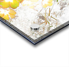  Abstract Primroses                                                                                                                     Acrylic print