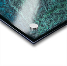 Family Totem Acrylic print