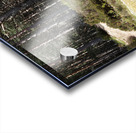  Springs Cycle Ride through the Scottish Highlands                                                                                                                     Acrylic print