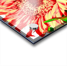 Orange Abstract Sunflower Acrylic print