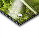 Summer Lochan in the Scottish Highlands Acrylic print