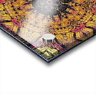 Abstract Kaleidoscope Mandala  Acrylic print