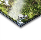   Springs Welcome in the Scottish Highlands                                                                                                                     Acrylic print