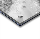 Rowan Tree in Glossy Monochrome Too Acrylic print