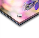 Spring Florals 4 Acrylic print