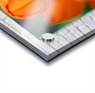 Spring Florals 5 Acrylic print