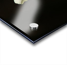 Spring Florals 10 Acrylic print