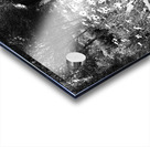 Scottish Highlands Wild Flowers                                                                                                                       Acrylic print