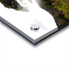  Lone Sentinel in the Scottish Highlands                                                                                                                     Acrylic print