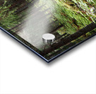  Home of the Wild Song in the Scottish Highlands                                                                                                                     Acrylic print