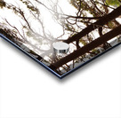 Loch Side View in the Scottish Highlands  Acrylic print