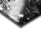 Summer Monochrome Walk through the Scottish Highlands Acrylic print