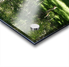 Scottish Highlands Summer Sunlight                                                                                                                      Acrylic print