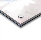 Delicate White Sunflower on  a Pale Abstract Background Acrylic print