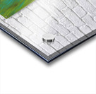 Black cat in the green grass acrylic painting  Acrylic print