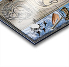 ART   The Forces A Acrylic print