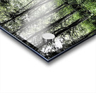 Natures Colourful Flow through the Scottish Highlands                                                                                                                      Acrylic print