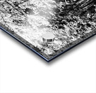 Monochrome Forest through the Scottish Highlands                                                                                                                      Acrylic print