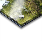  Springs Salute for the Scottish Highlands                                                                                                                     Acrylic print