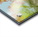 Golden Season Acrylic print