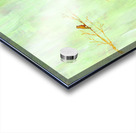 Pink cat and orange bird acrylic painting Acrylic print