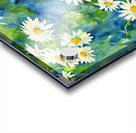 Daisies watercolor painting Acrylic print