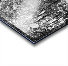 Monochrome Path in the Scottish Highlands                                                                                                                      Acrylic print