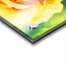 Yellow rose watercolor painting  Acrylic print