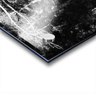 Scottish Highlands Dark Forest Acrylic print