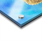 Hedgehog in spring watercolor painting Acrylic print