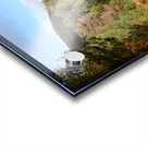 Scottish Highlands Forest View Acrylic print