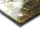 Summer Highlands Summer Forest Acrylic print