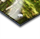 Scottish Highlands Summer Ferns Acrylic print