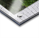 Scottish Highlands Spring Trail                                                                                                                      Acrylic print