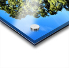 Scottish Highlands Birch Tree Trio Acrylic print