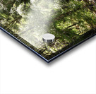 Scottish Highlands Sunlit Stream Acrylic print