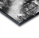 The Trail is Black and White Acrylic print