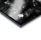 Black and White Ferns with Pines   Acrylic print