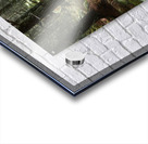 Woodland Ferns and Pines Acrylic print