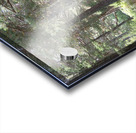 The Trail is Colourful Acrylic print