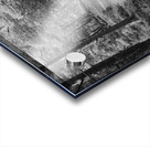 Black and White Forest Walk through the Scottish Highlands Acrylic print