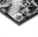 Wild Things in the Scottish Highlands Acrylic print