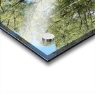 Summer Birch in the Scottish Highlands Acrylic print