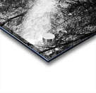 Scottish Highlands Black and White Forest Acrylic print