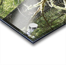 Scottish Highlands Mixed Forest with Lichen Acrylic print