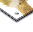 Scottish Highlands Forest Reflection  Acrylic print