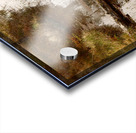 Scottish Highlands Pines Reflections Acrylic print