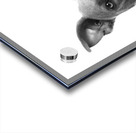 Funny Dog Acrylic print