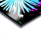 Abstract Blue and Pink Daisy Acrylic print