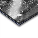 Monochrome Tear Drops Acrylic print